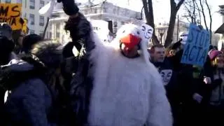 Protestas prieš ACTA Vilniuje. 2011.02.11