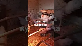 обогрев курятника зимой