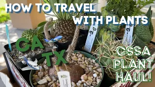 302: How To Travel With Plants | I'm Packing Up My New Cacti & Succulents From The CSSA Plant Sale!