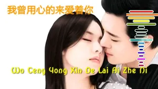 Wo Ceng Yong Xin De Lai Ai Zhe Ni - 我曾用心的来爱着你 - (Lyric )