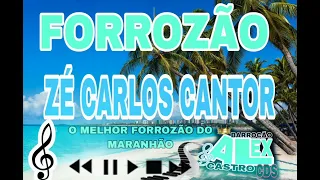 forrozão Zé Carlos cantor o melhor forrozão @zecarloscantortutoiama9498 @CanalalexCdsoficiall