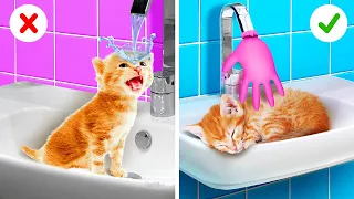 Saved This Tiny Cat || Incredible Hacks For Pet Owners And Ideas For DIY Pet Gadgets by Bla Bla Jam!