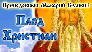 ПЛОД ХРИСТИАН ☦️ Преподобный Макарий Великий. Духовные беседы, Часть 13