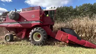 International Harvester 1460 Combine First Run 2021