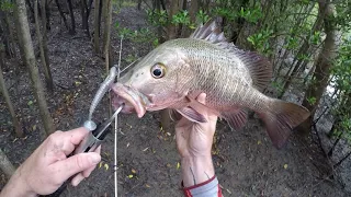 Mangrove Jacks Berkley Powerbait T-Tail 4inch soft plastics/Abu Garcia