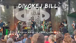 Divokej Bill Live (Concert) I Ledarny Open Air I Praha I 2022