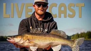 Live casting for zander - Fishing with livescope | Westin Fishing