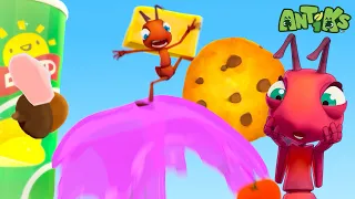 Ants and Snacks | ANTIKS | Moonbug No Dialogue Comedy Cartoons for Kids