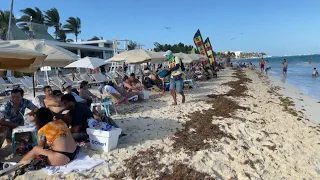 Tourists show no Covid fears as they fill Mexican resort | AFP