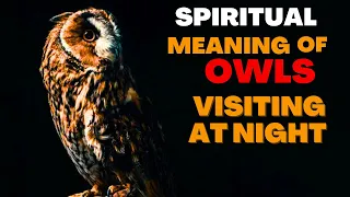 What is the spiritual Meaning of An Owl Coming To Your House At Night?