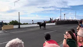 Bullfighting in Festa da Serreta Terceira Azores September 2023.