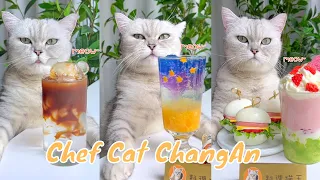 【Chef Cat ChangAn】Surprise in the End ! Wonderful Compilation of  A Month #CatCookingAsmr