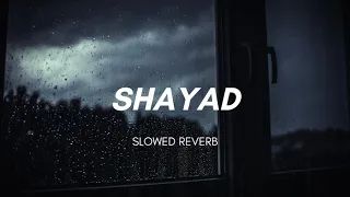 Shayad [ Slowed+Reverb ] - Arijit singh | Love Aaj Kal | Aesthetic Me