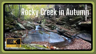 Rocky Creek in Autumn - Background - (Sleep / Work / Study) - White Noise - No Loop