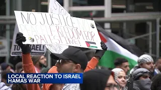 Hundreds of Palestinians march through downtown Chicago