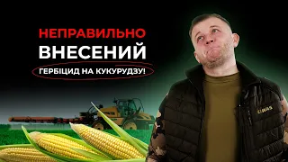 ФАЗА ВНЕСЕННЯ ГЕРБІЦИДІВ ПРОЙШЛА, А БУР'ЯНИ ЛІЗУТЬ – ЩО РОБИТИ?