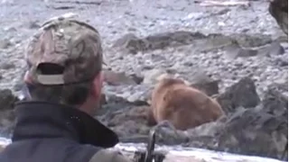 Brown Bear Hunting With Arrow at 25 Yards. One Shot.