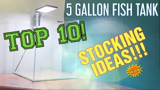 TOP 10!!! 5 GALLON STOCKING IDEAS!!!