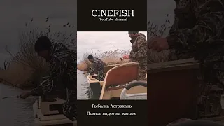 Счастью нет предела🎣 #рыбалка #астрахань #fishing