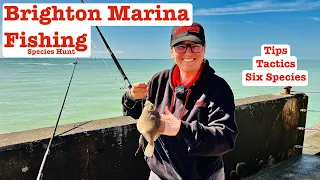 Brighton Marina Fishing: East Wall, Plaice and Other Species