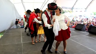 Cueca Boliviana, tema Viva mi patria querida