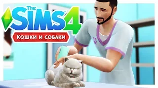 ВЕТЕРИНАР ОТ БОГА 🙏The Sims 4: Кошки и собаки #2