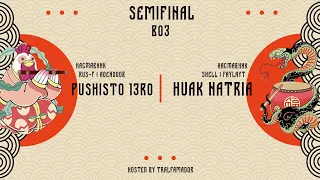 Pushisto 13ro vs Huak Natria - Полуфинал турнира "Believe" - Age of Empires 2