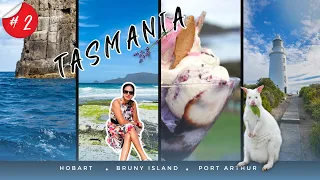 PART 2- 14 Days Tasmania Road Trip Itinerary+ Useful Tips| Tasmania Travel Guide| Where to Camp | 4K