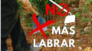 Deja de LABRAR, tus plantas te lo agradecerán