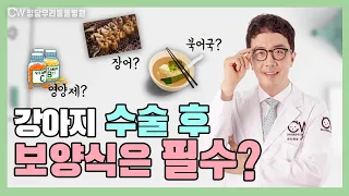 강아지 고양이 수술 후 어떤 음식을 줘야할까요? 보양식은 필수라구요?