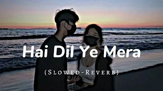 Hai Dil Ye Mera Slowed-Reverb || Lofi Song || Arijit Singh ||