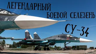 Легендарный "БОЕВОЙ СЕЛЕЗЕНЬ" Су-34 / SU-34 Fullback