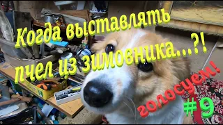 ✅ Когда выносить пчел из зимовника...?! Голосуем! #ПЧЕЛОВОДСТВО9 начинающим с нуля!