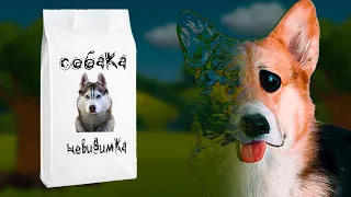 КОРМ "СОБАКА - НЕВИДИМКА" !! Корги Кекс Говорящая собака