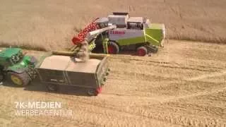 Weizen dreschen 2015  mit 2 Claas Lexikon