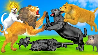 क्रूर चीता और शेर शावक जंगल राजा के लिए लड़ाई Sher ke Bacche bana jungle ka raja Story Moral Kahani