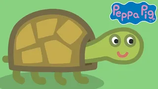 Meet Tiddles The Tortoise 🐷🐢 Peppa Pig Official Channel Family Kids Cartoons