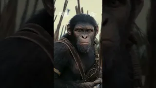 Kingdom of the Planet of the Apes I Hero