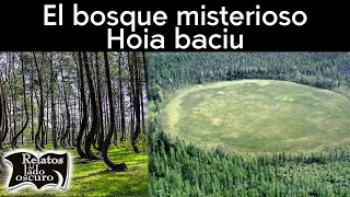 El bosque misterioso de Rumanía "Hoia baciu" | Relatos del lado oscuro