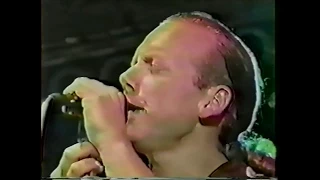 The Beach boys Live 1998  California Dreamin'