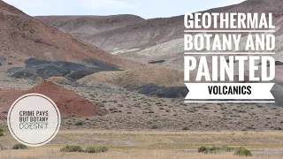 Geothermal Botany and Painted Volcanics