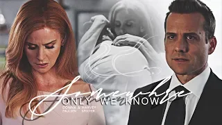 donna & harvey | somewhere only we know
