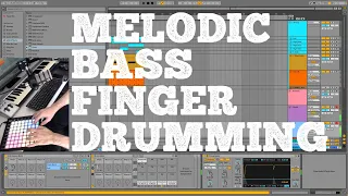 Daily Decibel 82 - Melodic Bass Finger Drumming - Accidental Bass