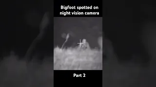 Crazy Bigfoot sighting on night vision camera part 2 #bigfoot #bft #sasquatch