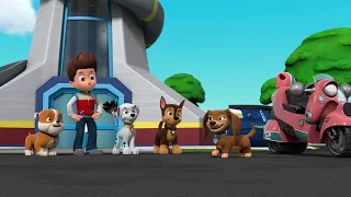 Hey Liberty - Paw Patrol