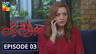 Bhool Jaa Ay Dil Episode 3 HUM TV Drama 18 November 2020