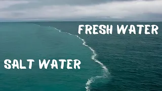 Why Does the Ocean Stay Salty When Fresh Rivers Keep Flowing In?