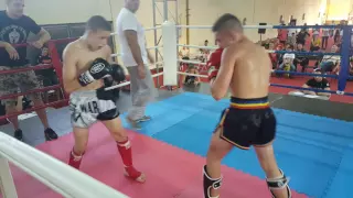 Warrior gym Srbija