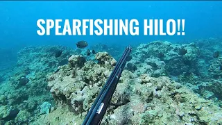 Spearfishing The East Facing Shores On The Big Island of Hawaii!!