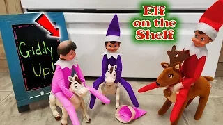 Purple & Pink Elf on the Shelf - Lost Hat on Real Horse Race! SHE'S BALD!!! Day 18
